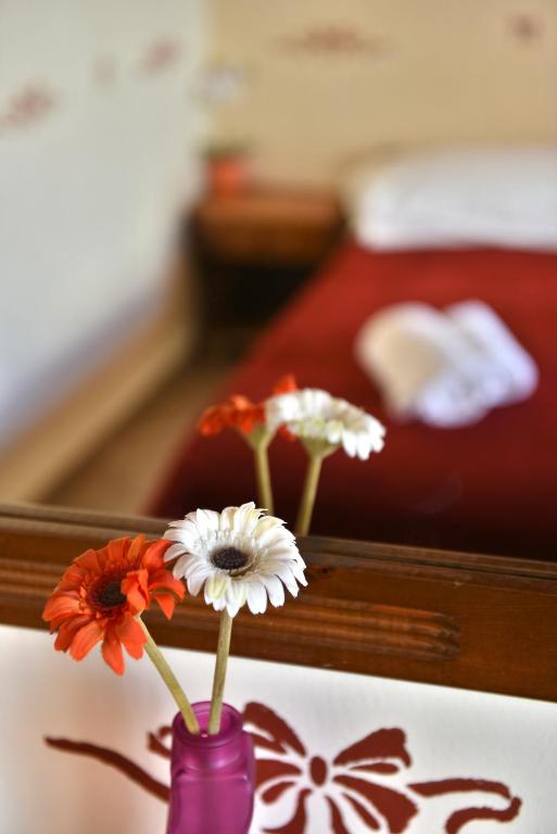 Guesthouse Corali - 17