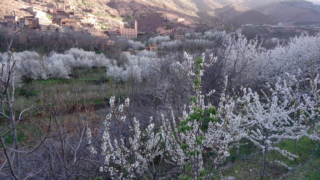 Un paisaje natural cerca of the bed and breakfast