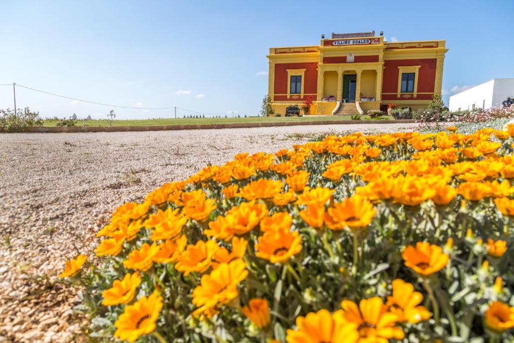 un campo de flores amarillas y naranjas frente a un edificio en Villino Odaldo en Mottola