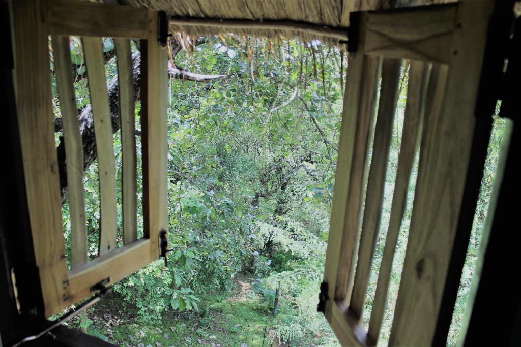 Zahrada ubytování Wildescape Polonnaruwa