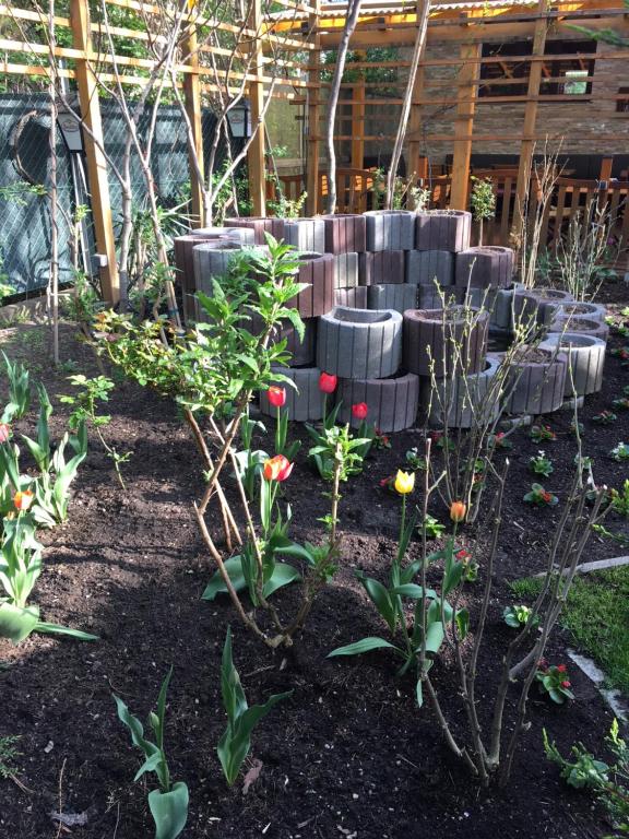 Hotel - Restaurant Valley Rose - Resim 20