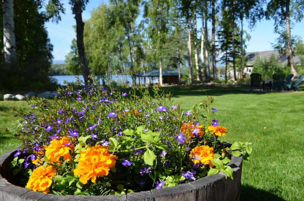 Zahrada ubytování Alaska's Lake Lucille Bed & Breakfast