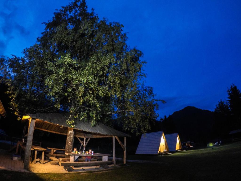 ein Baum vor einem Zelt in der Nacht in der Unterkunft Camp Podljubelj in Podljubelj