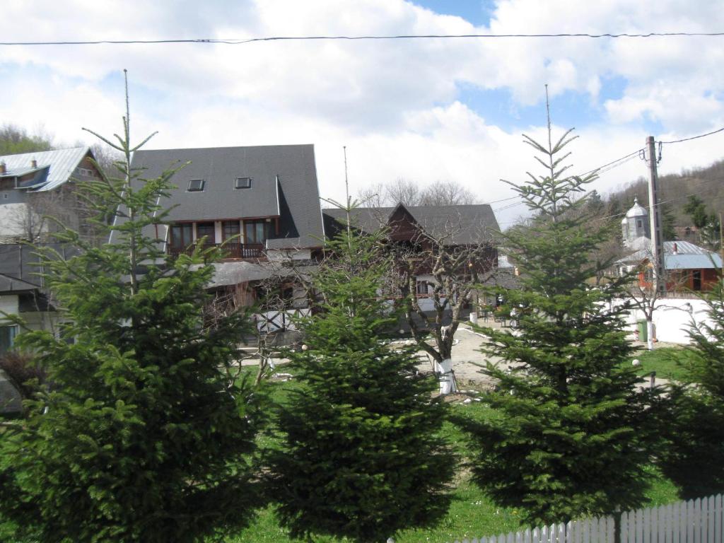 Billede fra billedgalleriet på Pension Sf Nicolae i Aluniş