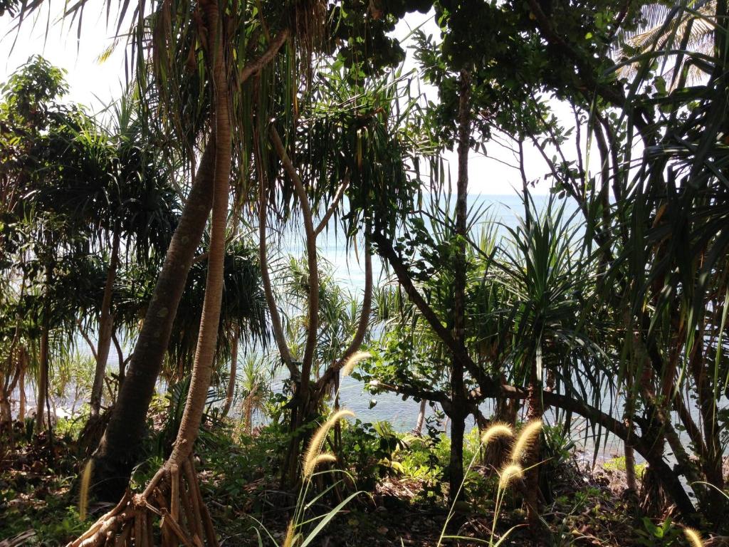 The Narima - SHA Plus - 13