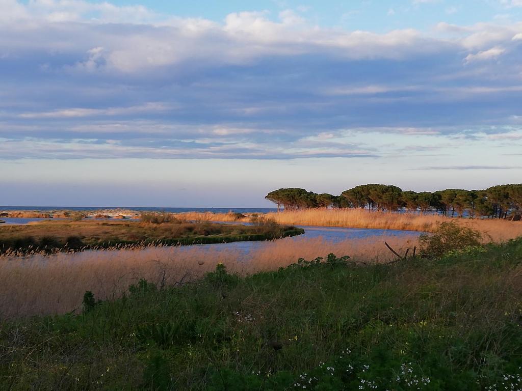 Príroda v okolí dovolenkového domu