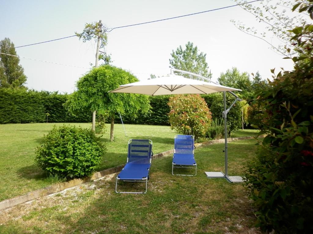A garden outside Villa Jolanda