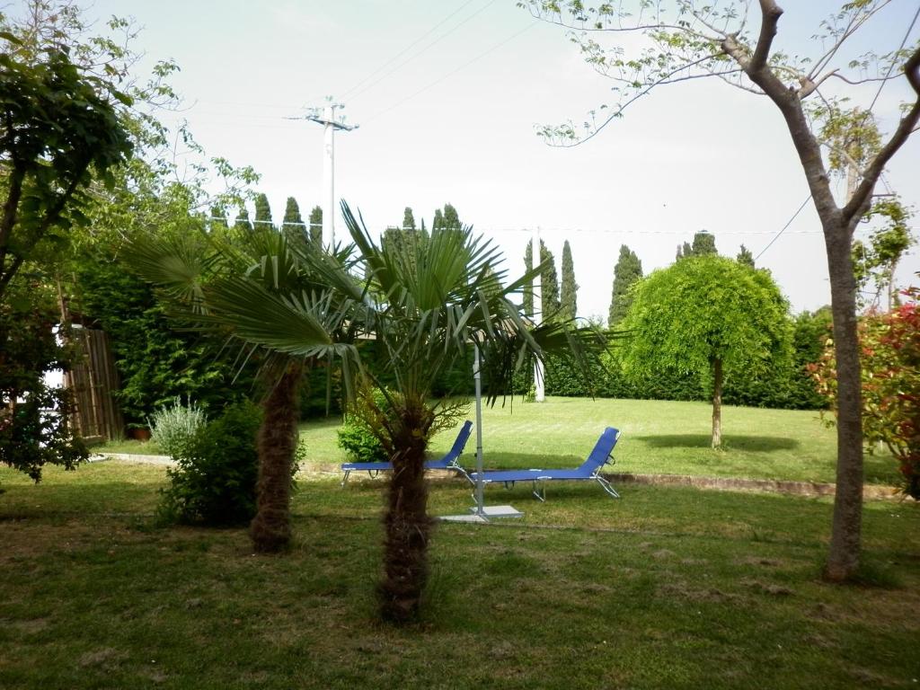 A garden outside Villa Jolanda