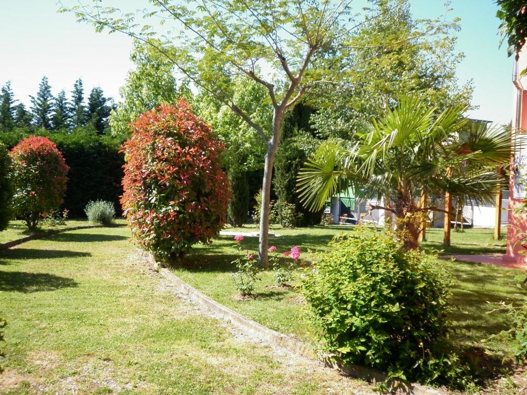 A garden outside Villa Jolanda