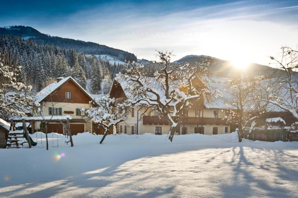 a winter scene of a house with snow on the ground at Moserhof in Haus im Ennstal