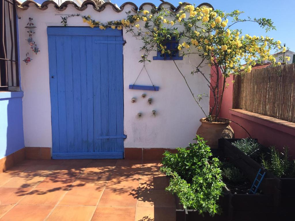 Fotografie z fotogalerie ubytování Atico Deluxe San Basilio v destinaci Córdoba