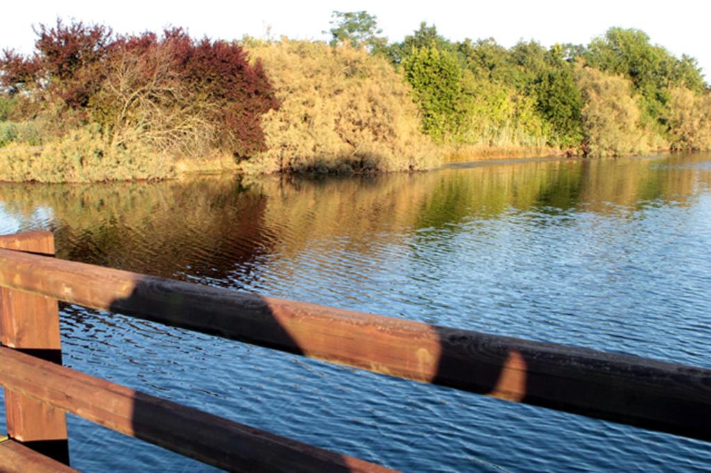 Výhled na řeku, která protéká v blízkosti bed and breakfast