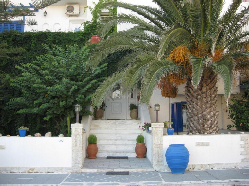 una palmera frente a una casa con jarrones azules en Tina's Apartments en Adamas