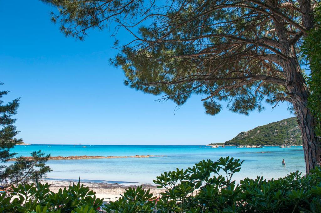 a view of a beach with a tree at Résidence Mobydick in Porto-Vecchio