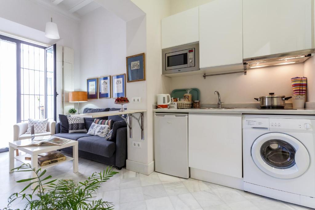 Kuchyň nebo kuchyňský kout v ubytování Sevilla Home Center