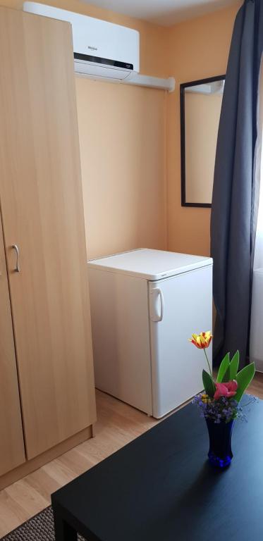 Kuchyňa alebo kuchynka v ubytovaní Joy Guesthouse