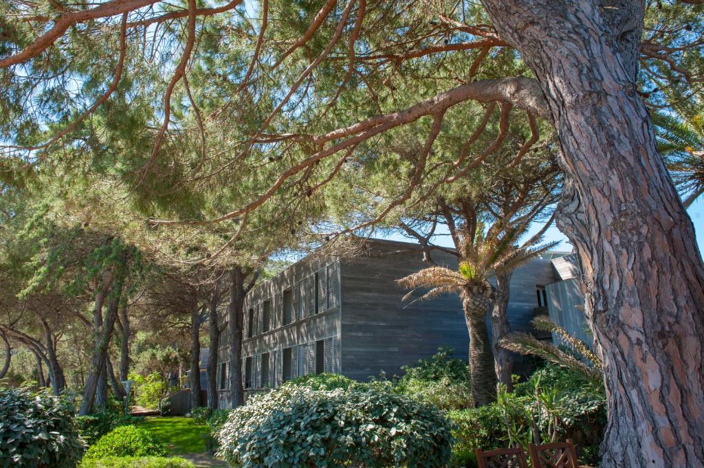 Zahrada ubytování Hôtel & Lodges Moby Dick