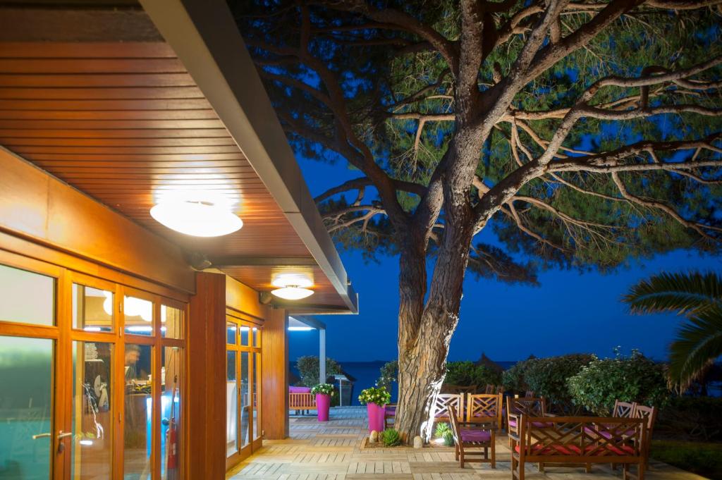 Zahrada ubytování Hôtel & Lodges Moby Dick