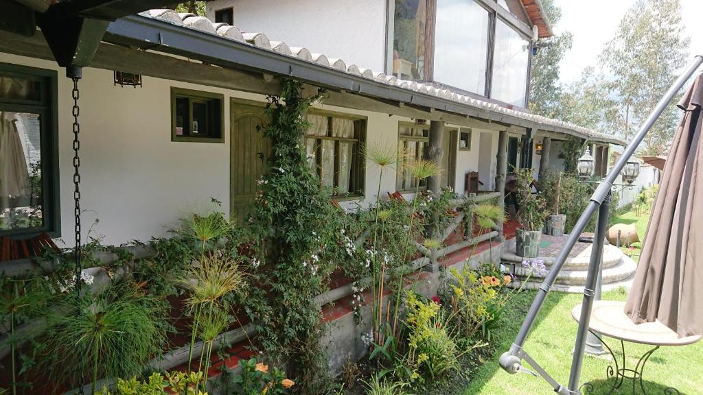 Zahrada ubytování Villa Mimi
