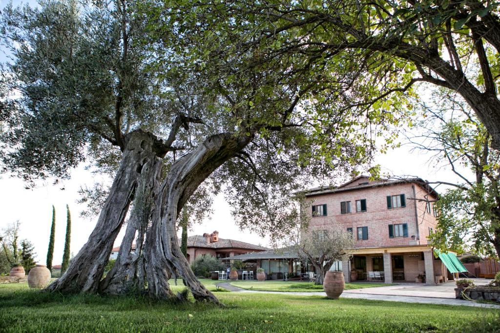 a large tree in the grass in front of a building at Locanda Poggioleone in Castiglione del Lago