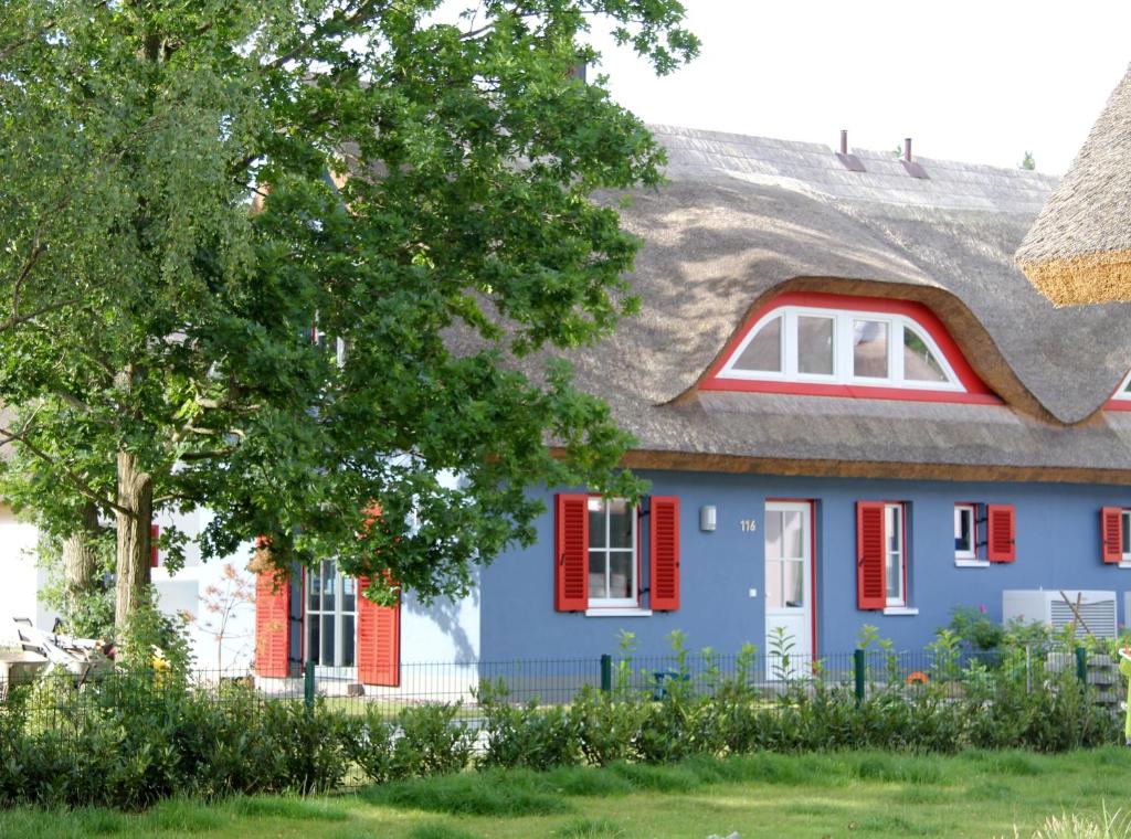 グロヴェにあるStrandhaus Lucky, Sauna, Garten, Kamin, strandnahの茅葺き屋根の青い家