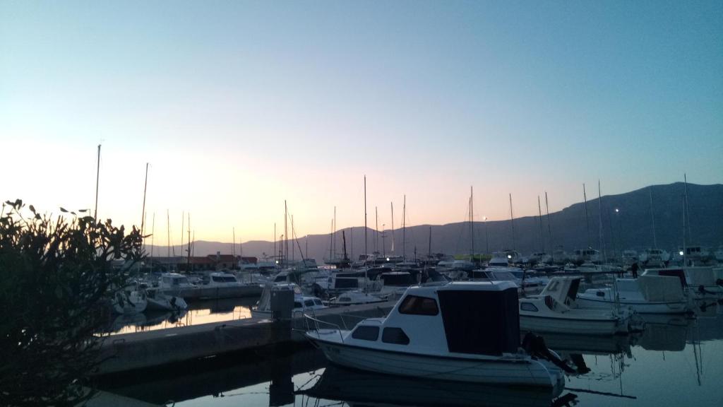 Príroda v okolí apartmánu