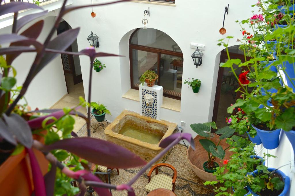 Zahrada ubytování Hotel Marisa