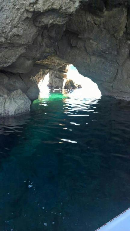 Acquarium Tropea - 18