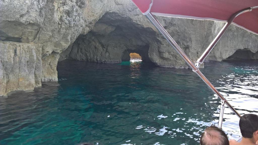 Acquarium Tropea - 19