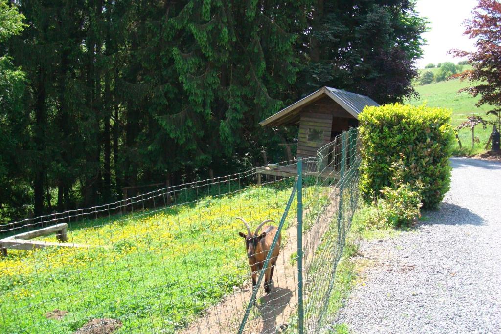 Fotografie z fotogalerie ubytování Gîte La Gernelle v destinaci Bouillon