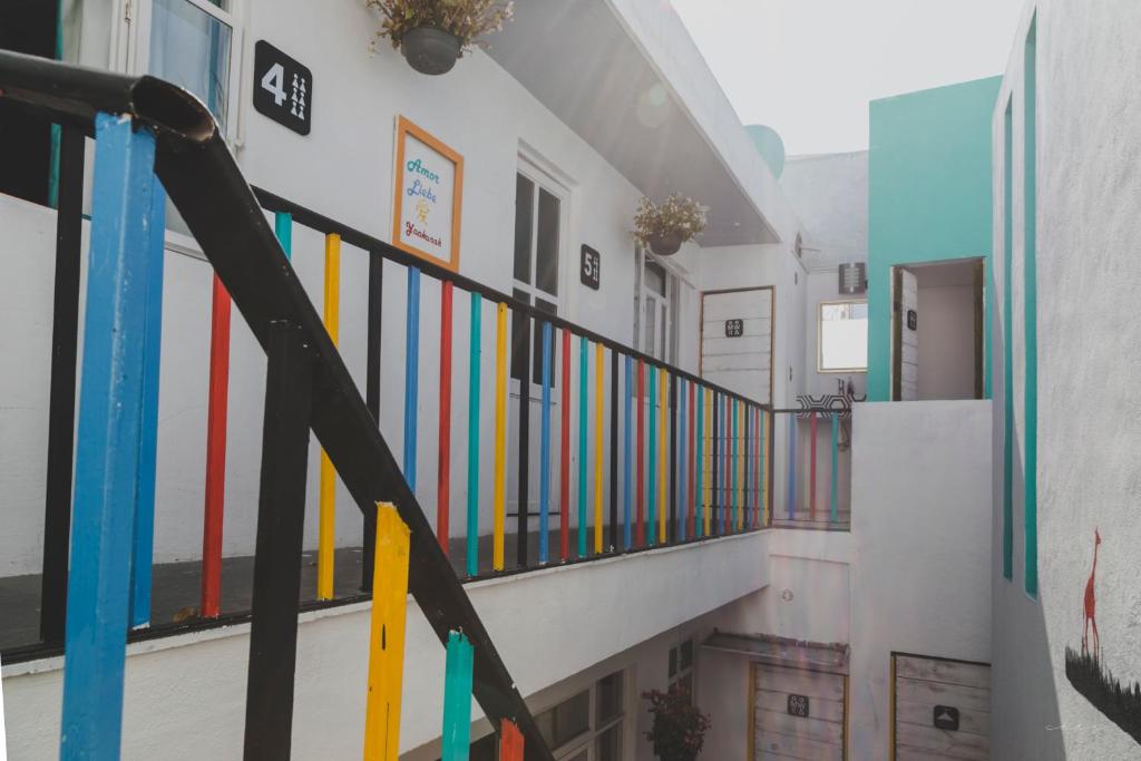 Fotografie z fotogalerie ubytování Monkey Safari Hostel v destinaci Querétaro
