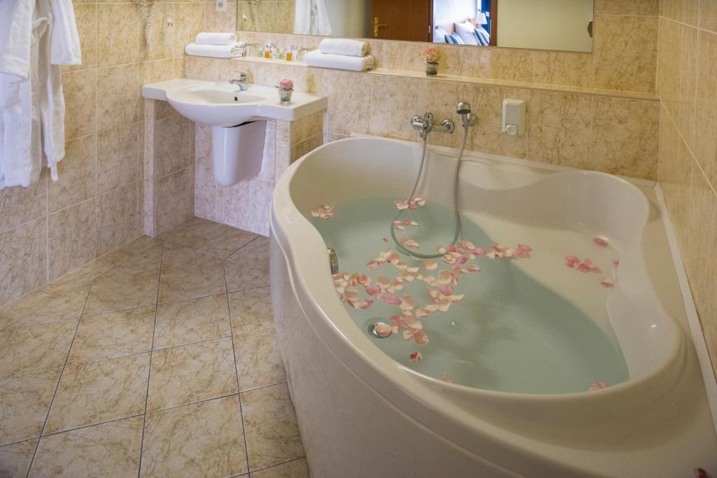 TOP HOTEL Praha - Resim 26