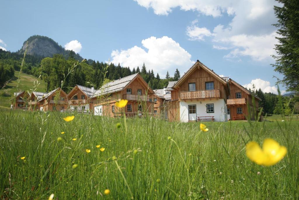 Příroda nedaleko aparthotelu