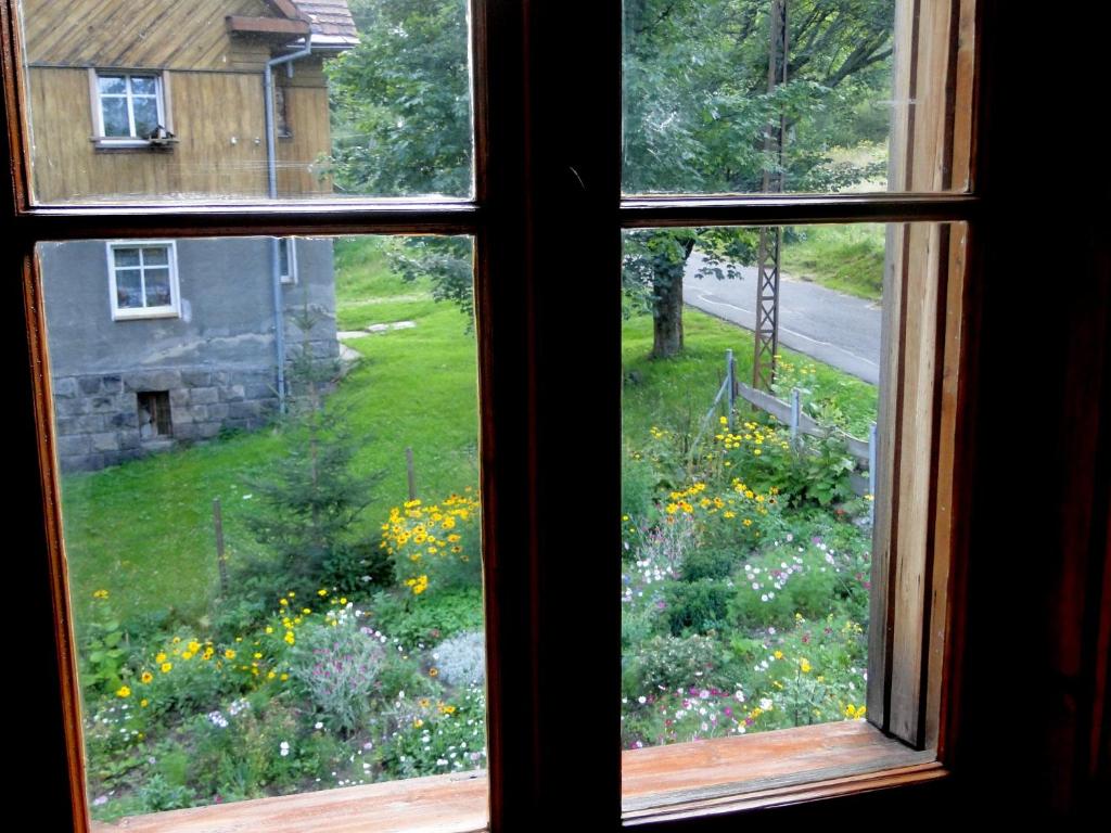 Zahrada ubytování Villa Nostalgia