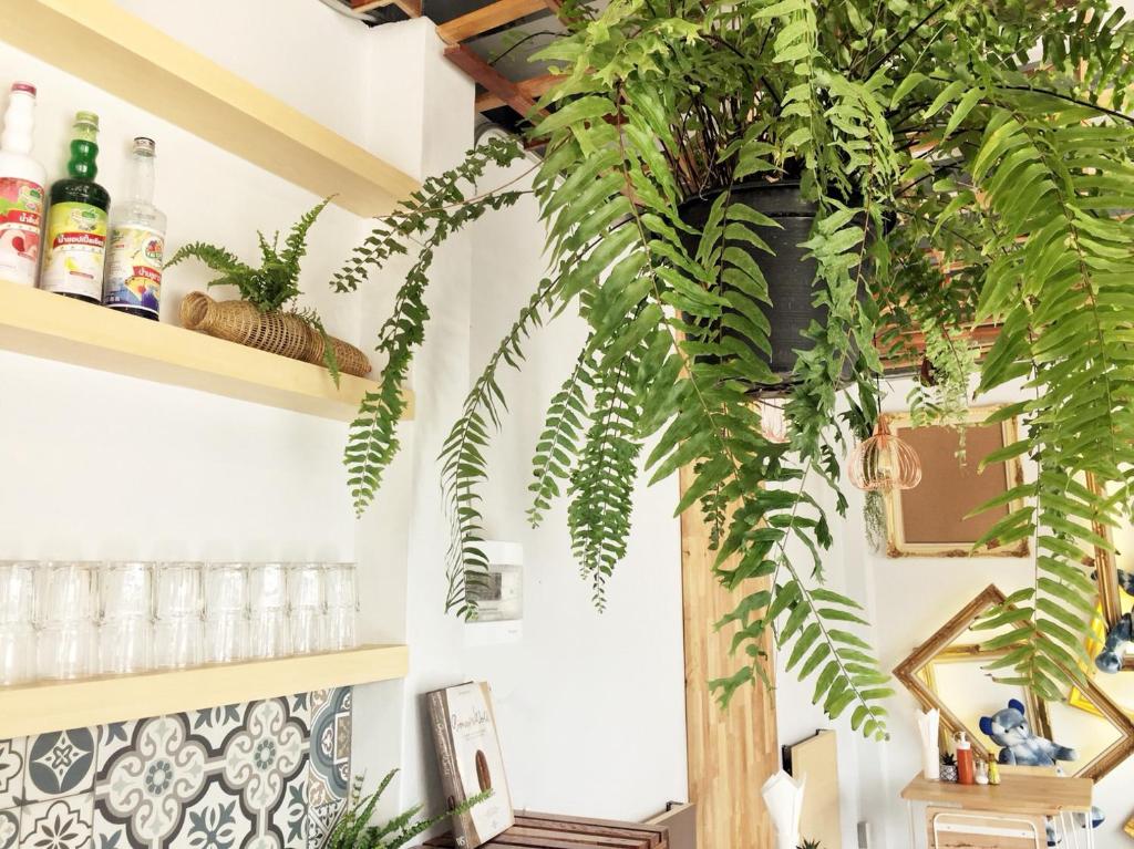 UD Capital Hotel - Resim 3