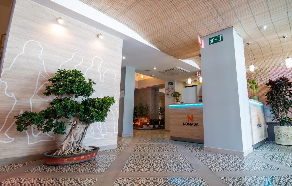 Köök või kööginurk majutusasutuses Hotel Nomada