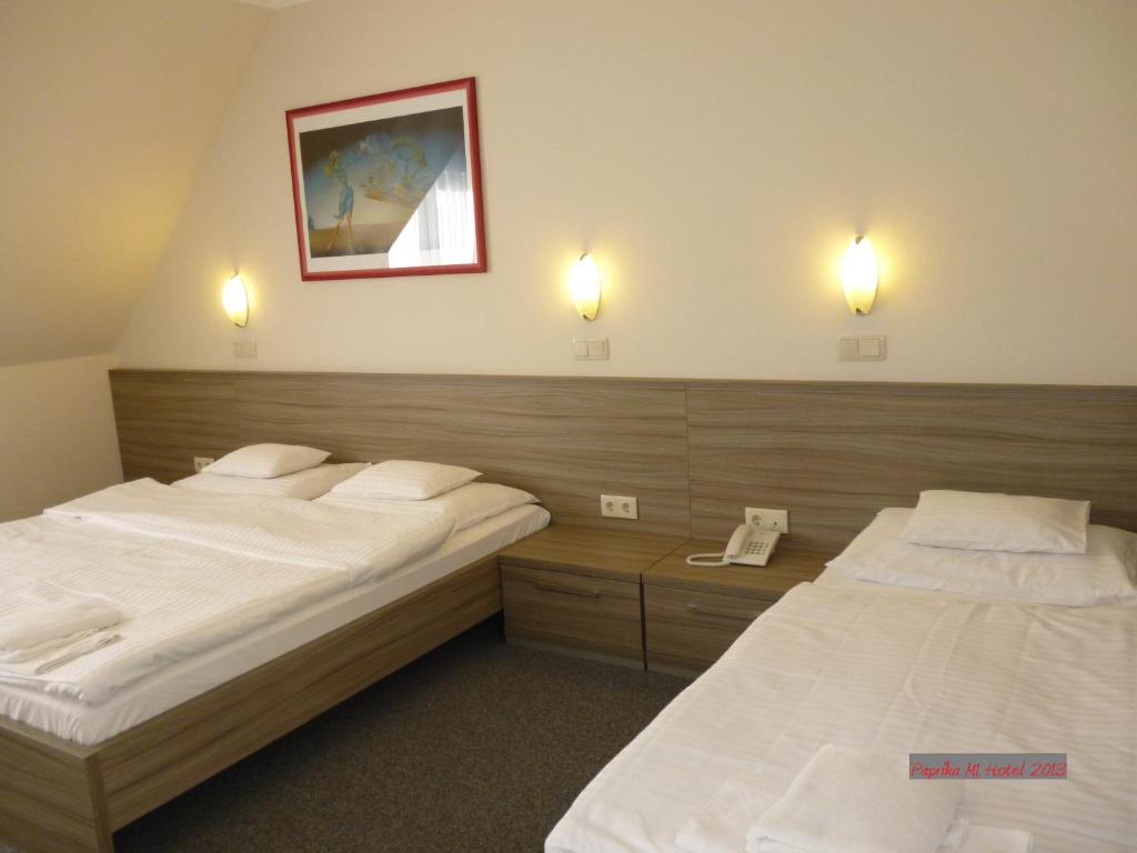 Postel nebo postele na pokoji v ubytování Paprika M1 Hotel