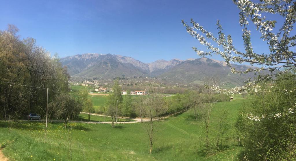 uitzicht op een veld met bergen op de achtergrond bij Boccaor in Paderno del Grappa