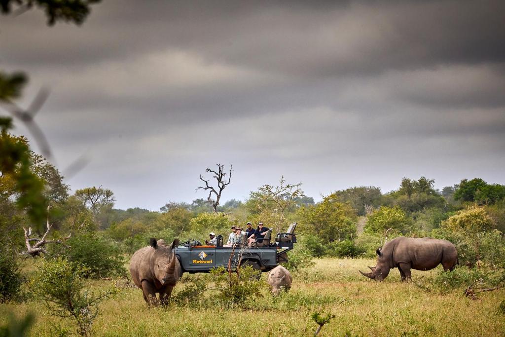 Un groupe de personnes dans une jeep dans un champ avec des rhinocéros dans l'établissement Motswari Private Game Reserve by NEWMARK, à Timbavati Game Reserve