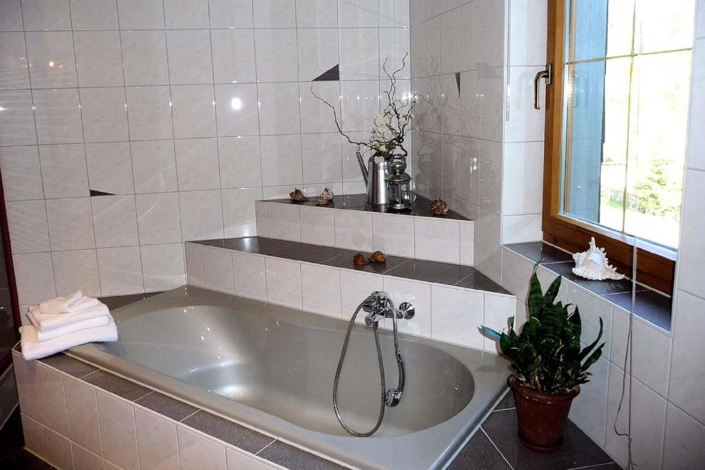 Hammerfinken-Nest - Apartment