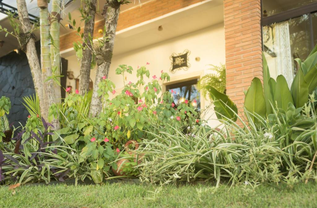 Zahrada ubytování Las Orquideas Parque Hotel