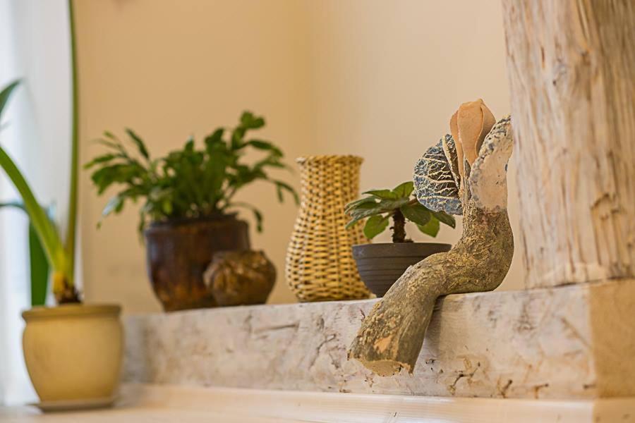 a group of vases and plants on a counter at Willa Różana in Lanckorona