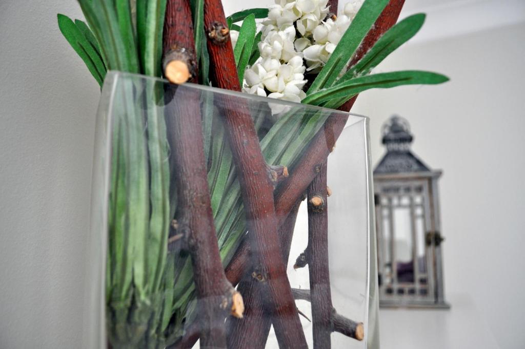 Fotografie z fotogalerie ubytování Apartamenty Feniks & Pegaz ve Svinoústí