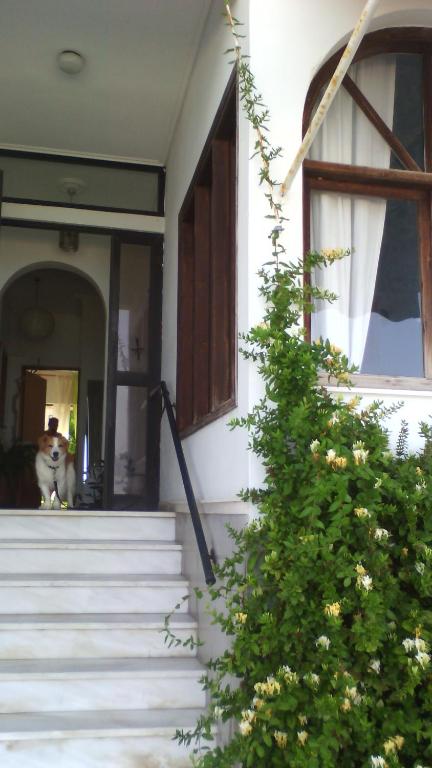 Exteriér nebo vchod ubytování Papas Rooms on the Seafront
