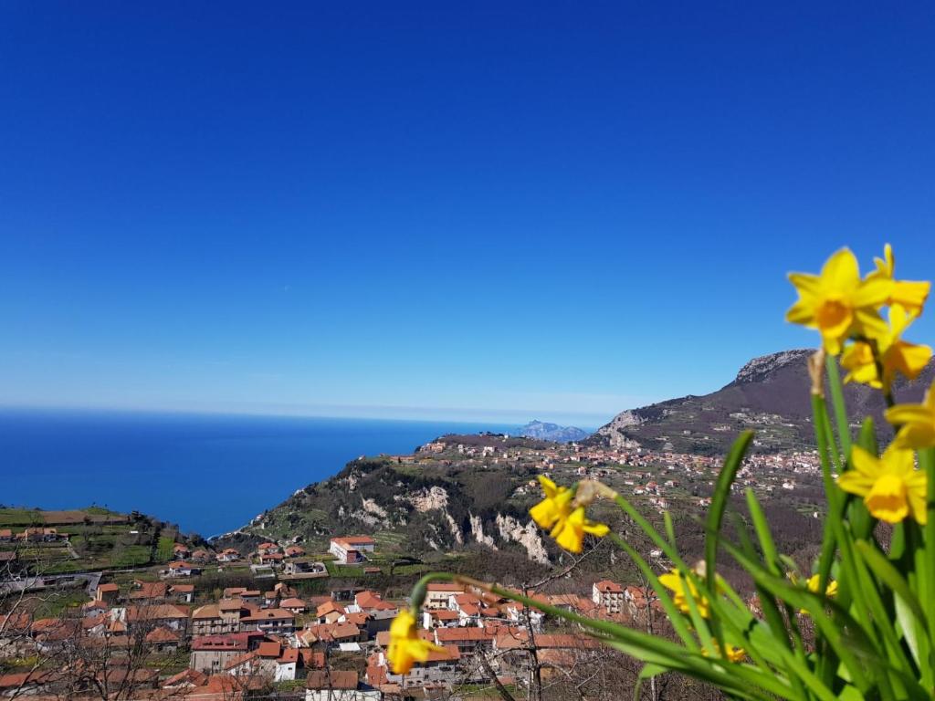 a view of a town on a hill with yellow flowers at B&B Villa Reginella in Agerola
