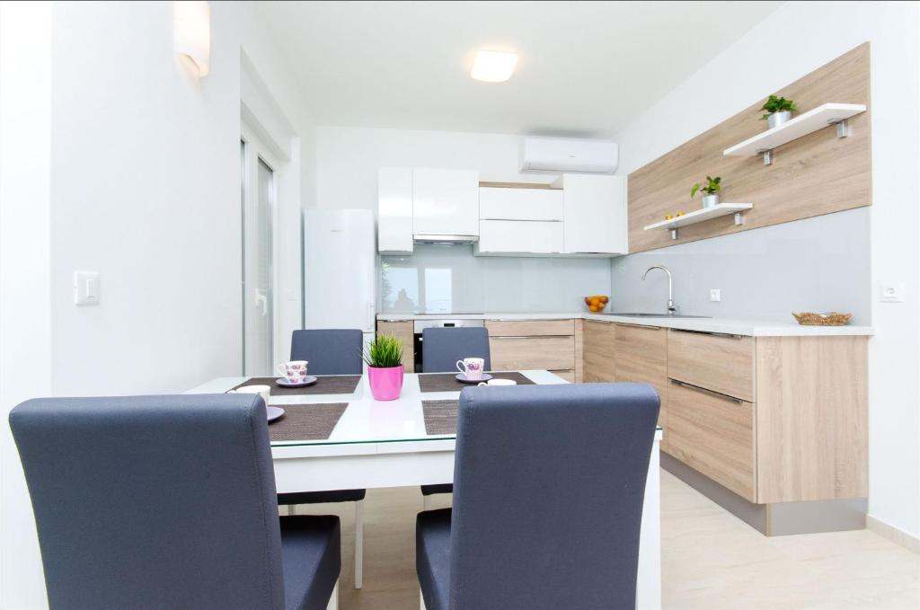 Kuchnia lub aneks kuchenny w obiekcie Apartments Branimir