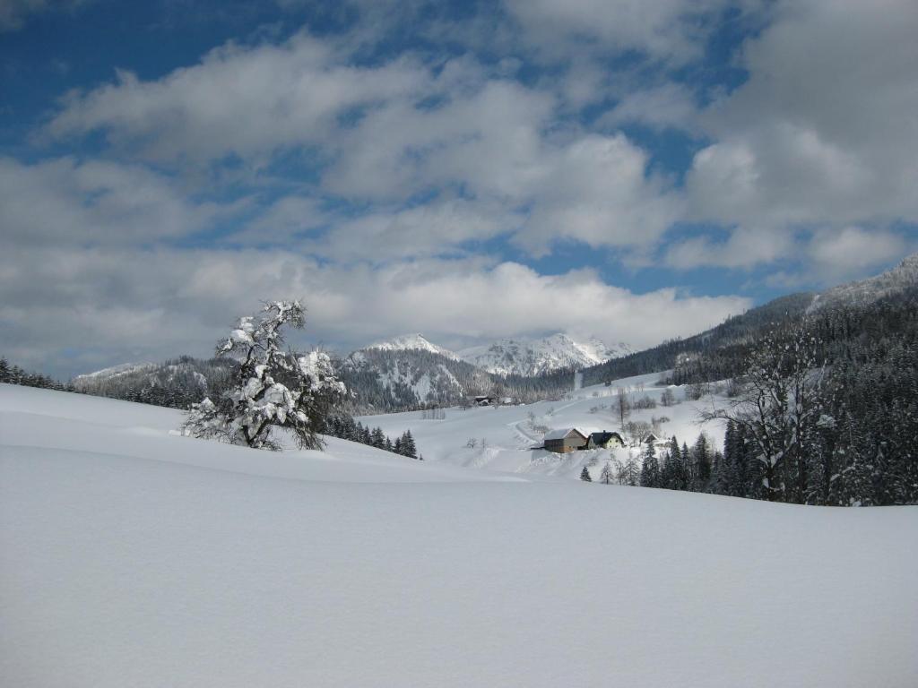 Ferienhaus Mendlingbauer during the winter
