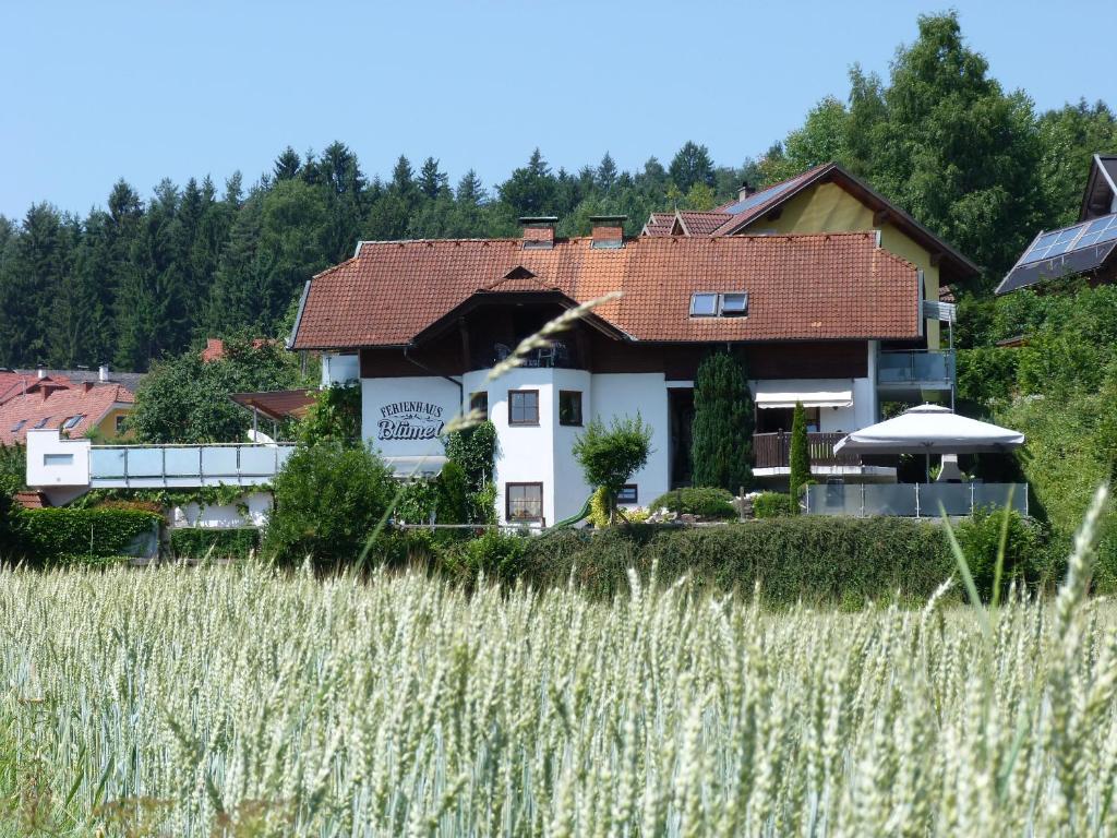 une maison avec un champ devant elle dans l'établissement Ferienhaus Blümel inkl. freier Strandbadeintritt, à Velden am Wörther See