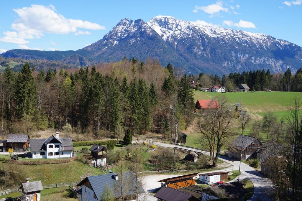 Příroda nedaleko apartmánu