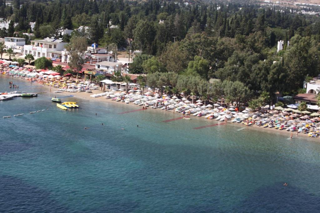 Okaliptus Hotel 4